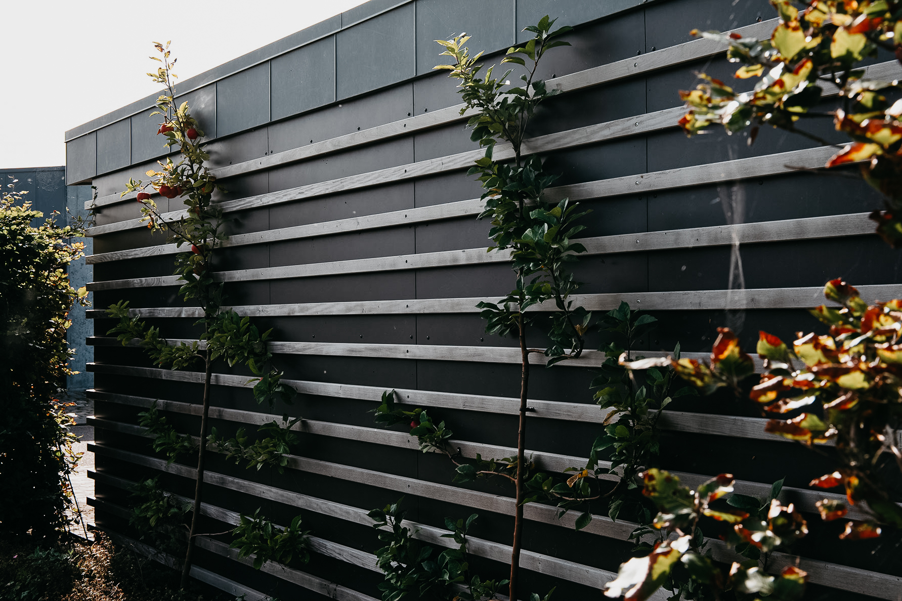 Godskesen Sept 2020 55