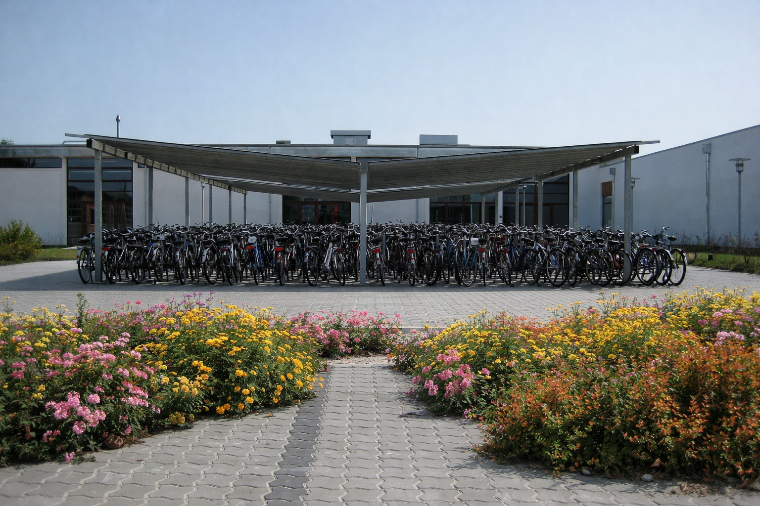 Cykelparkering Under Skyggefuldt Læretræ